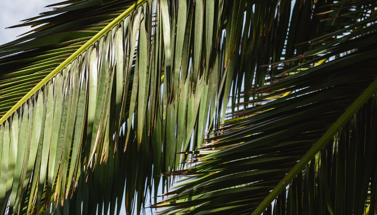 Bunter Turmalin Schmuck